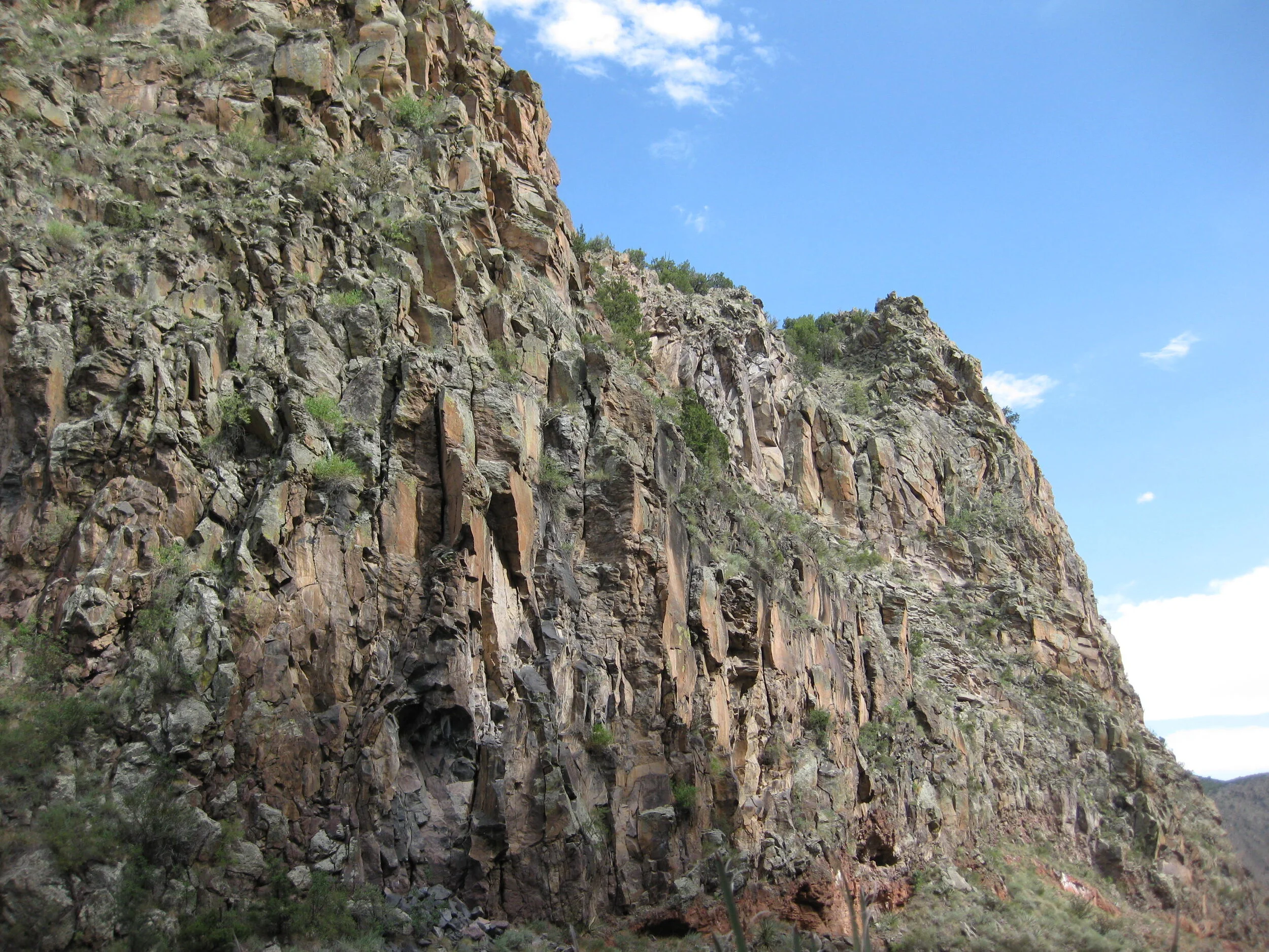 One Pastor in the Pandemic