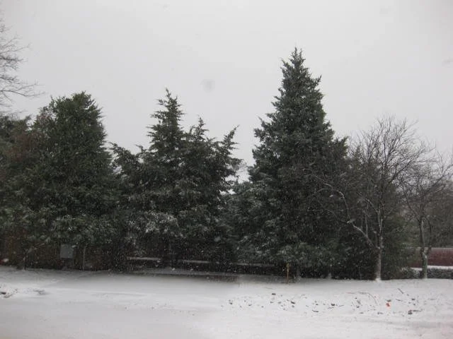 Samples of Sabbath Rest