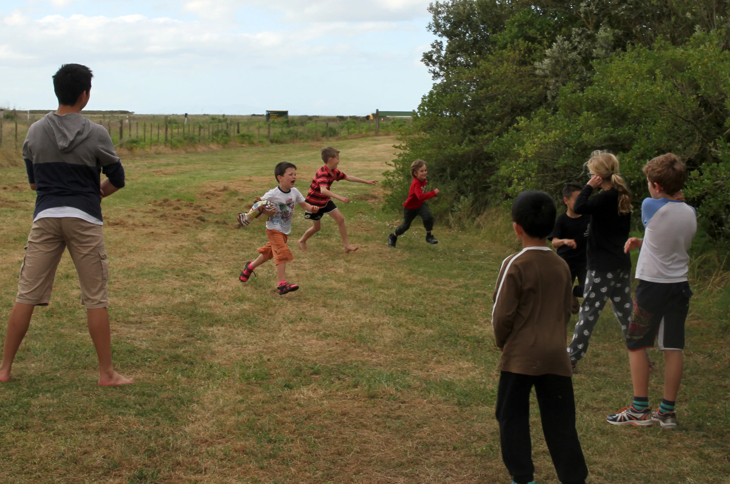 Playing games - Robin running fast