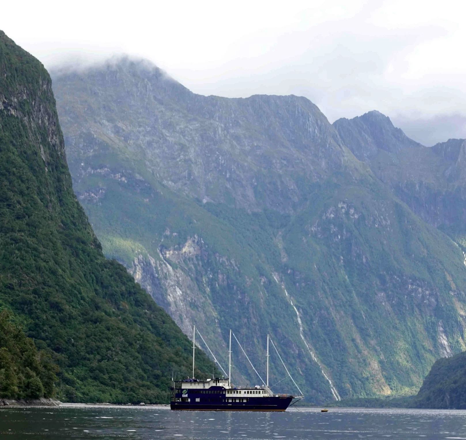 Night on the water in Milford Sound