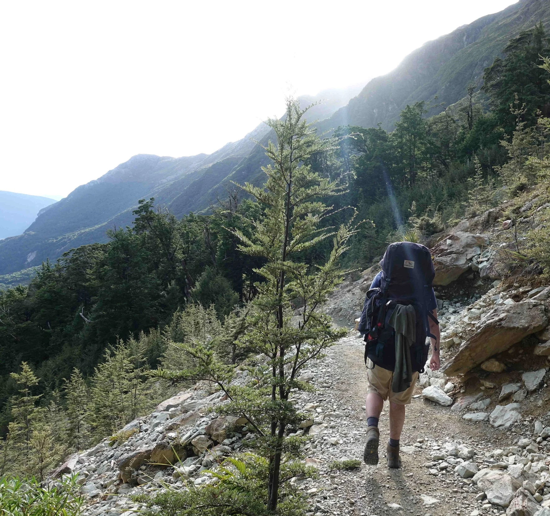 Routeburn Track - Day 4 