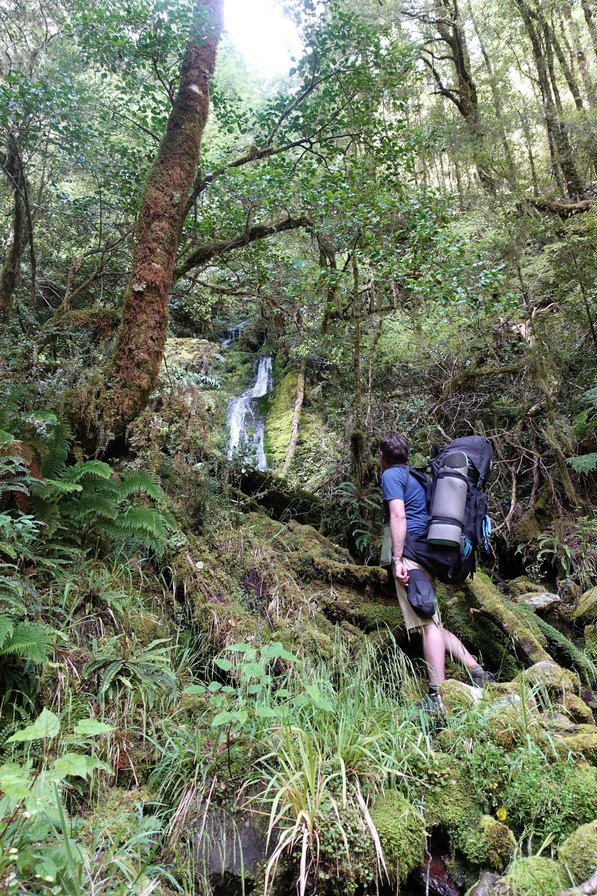 Holiday Day 3: Second day on the Wangapeka Track. 