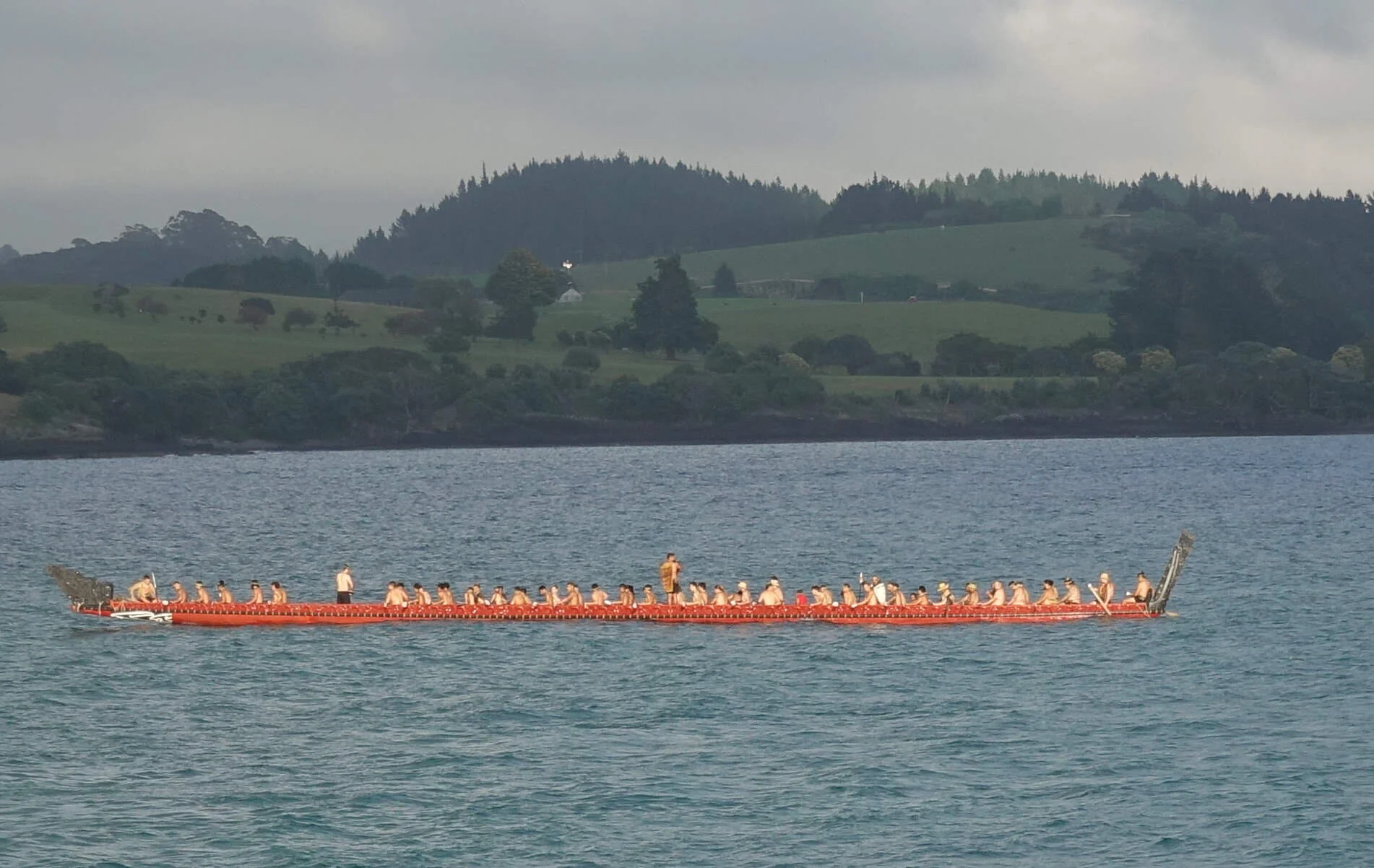 Endeavour - dolphins and 100 Maori in a waka at Waitangi