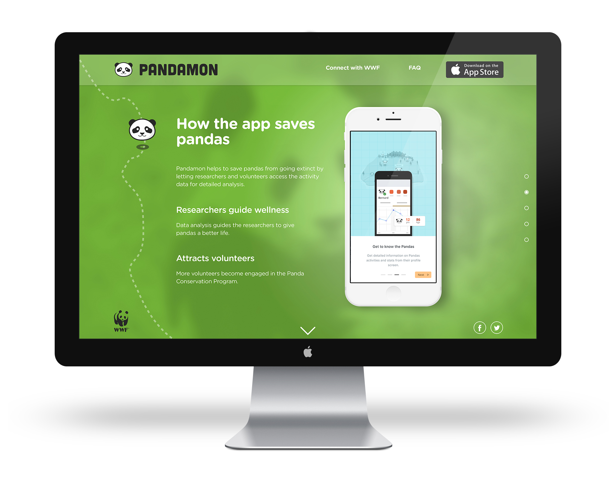 Pandamon-Website-on-Computer-Page2.jpg