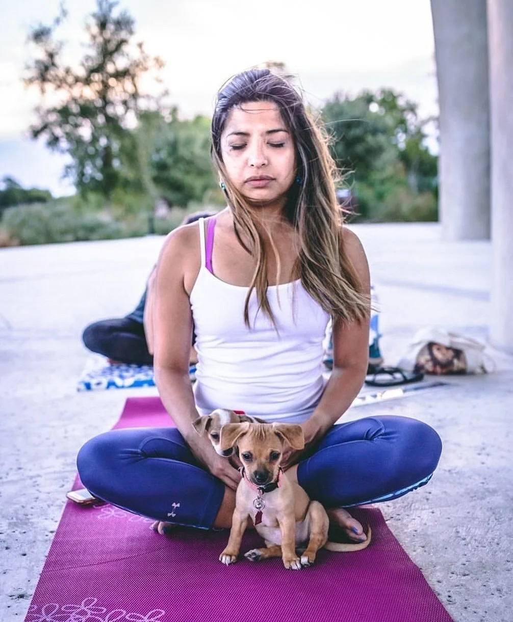 Double Dose of #PuppyYoga✌️🐶🧘

You have two chances to practice this week with the cutest classmates in town! Join us on Thursday 11/21 at 6:30p or Sunday 11/24 at 11:30a for a playful yoga practice with adorable and adoptable puppies from @snipsat