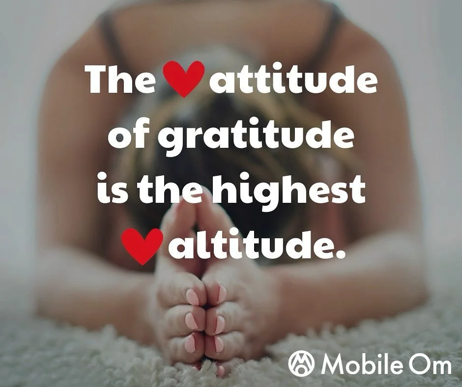 Thank you, OMies! 🙏❤️✨

My heart is overflowing with gratitude as we wrap up 11 incredible years of sharing yoga, celebrating unique spaces, and building mindful community in San Antonio. Thank you, thank you, thank you&mdash;from the bottom of my h