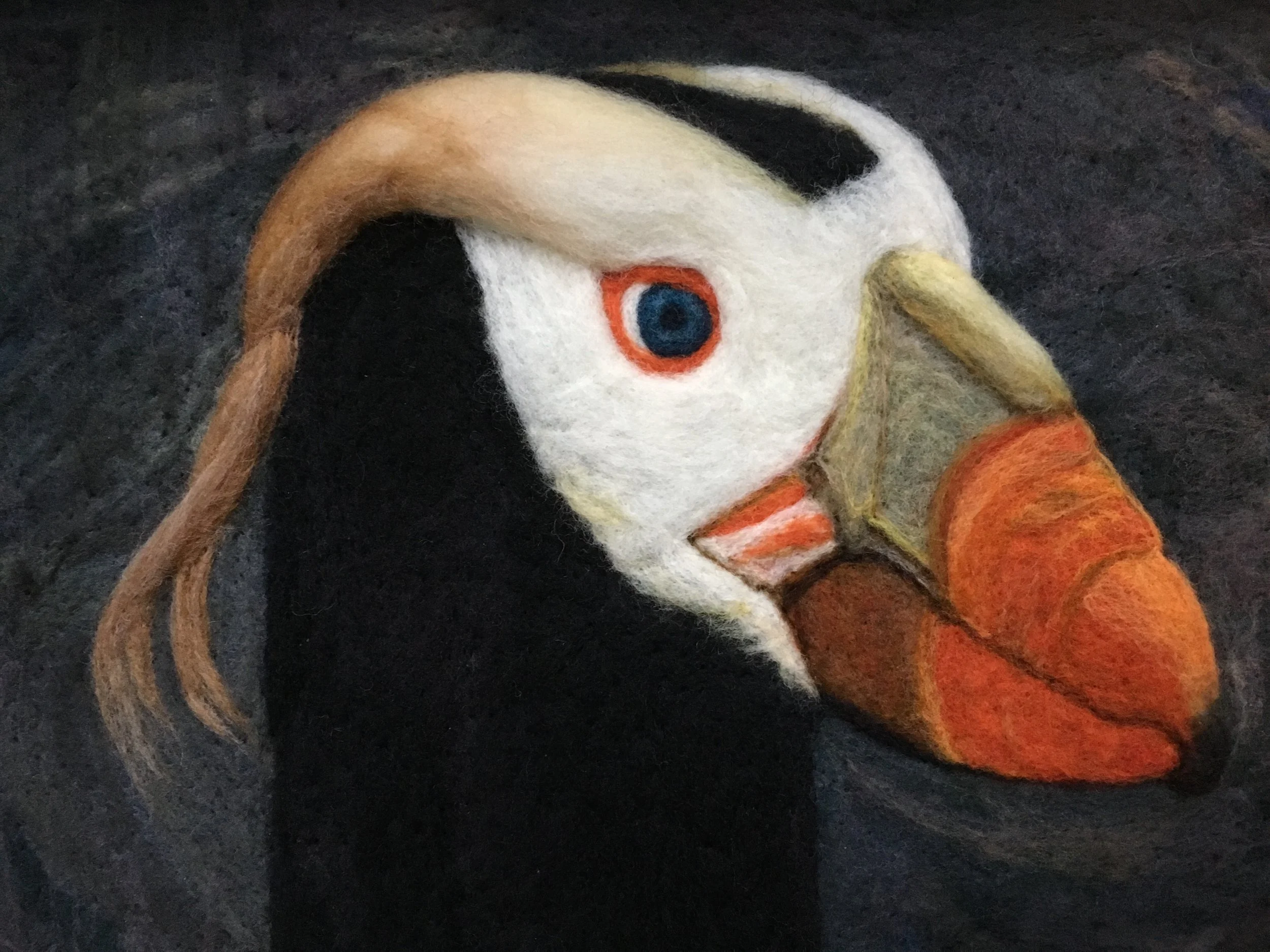 Julia's Puffin
