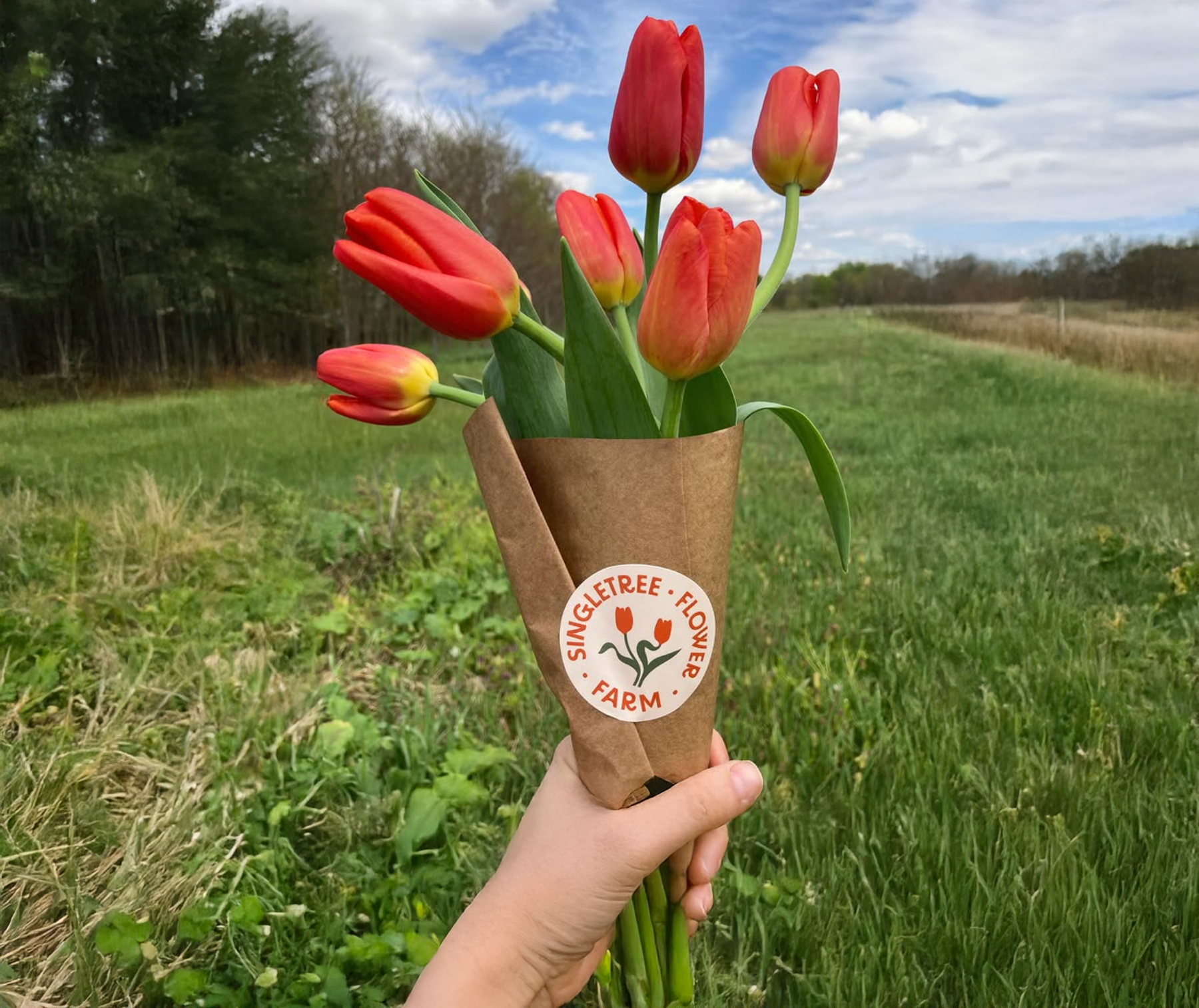Singletree Flower Farm