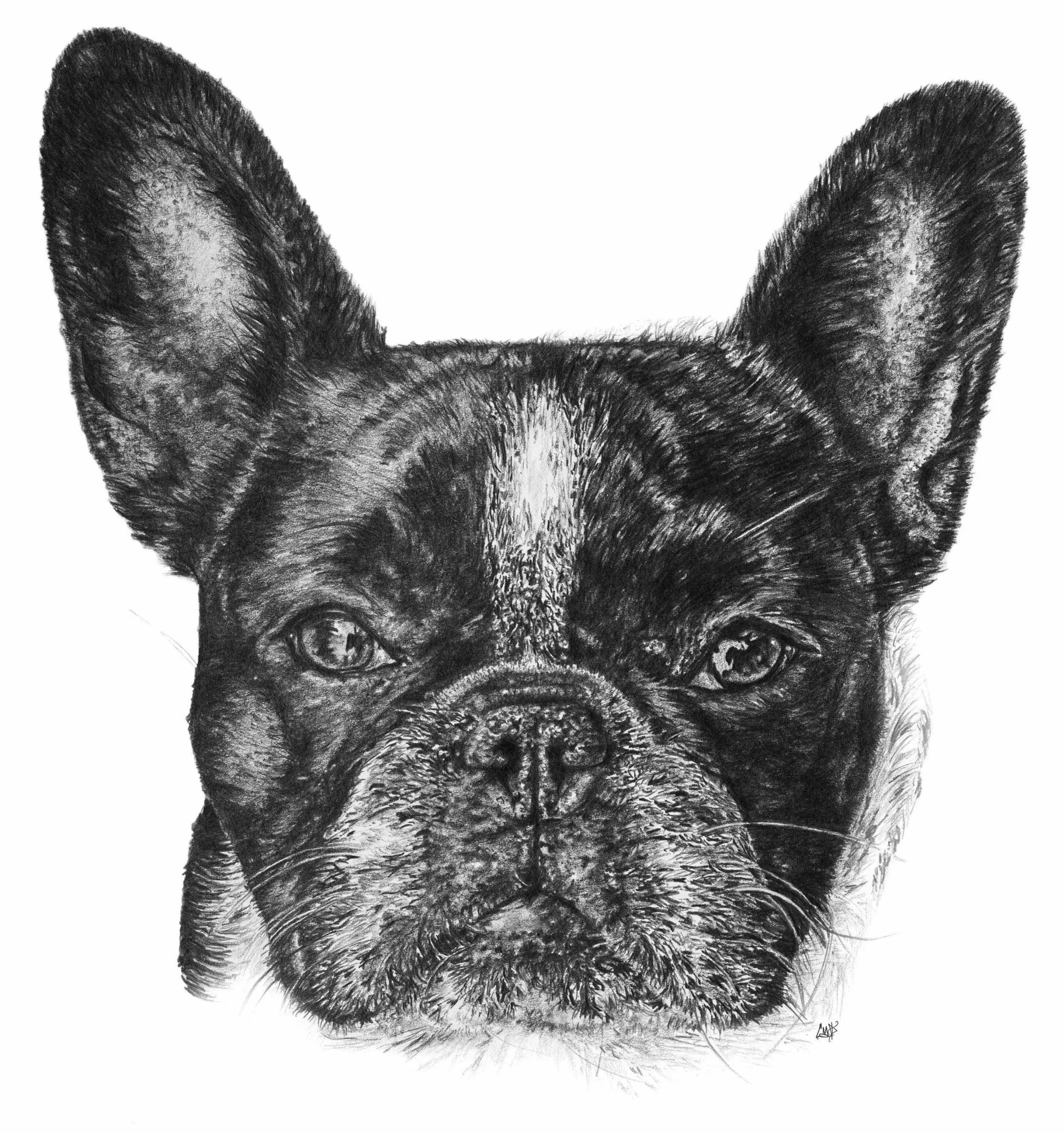 Graphite portrait by Cameron Derby