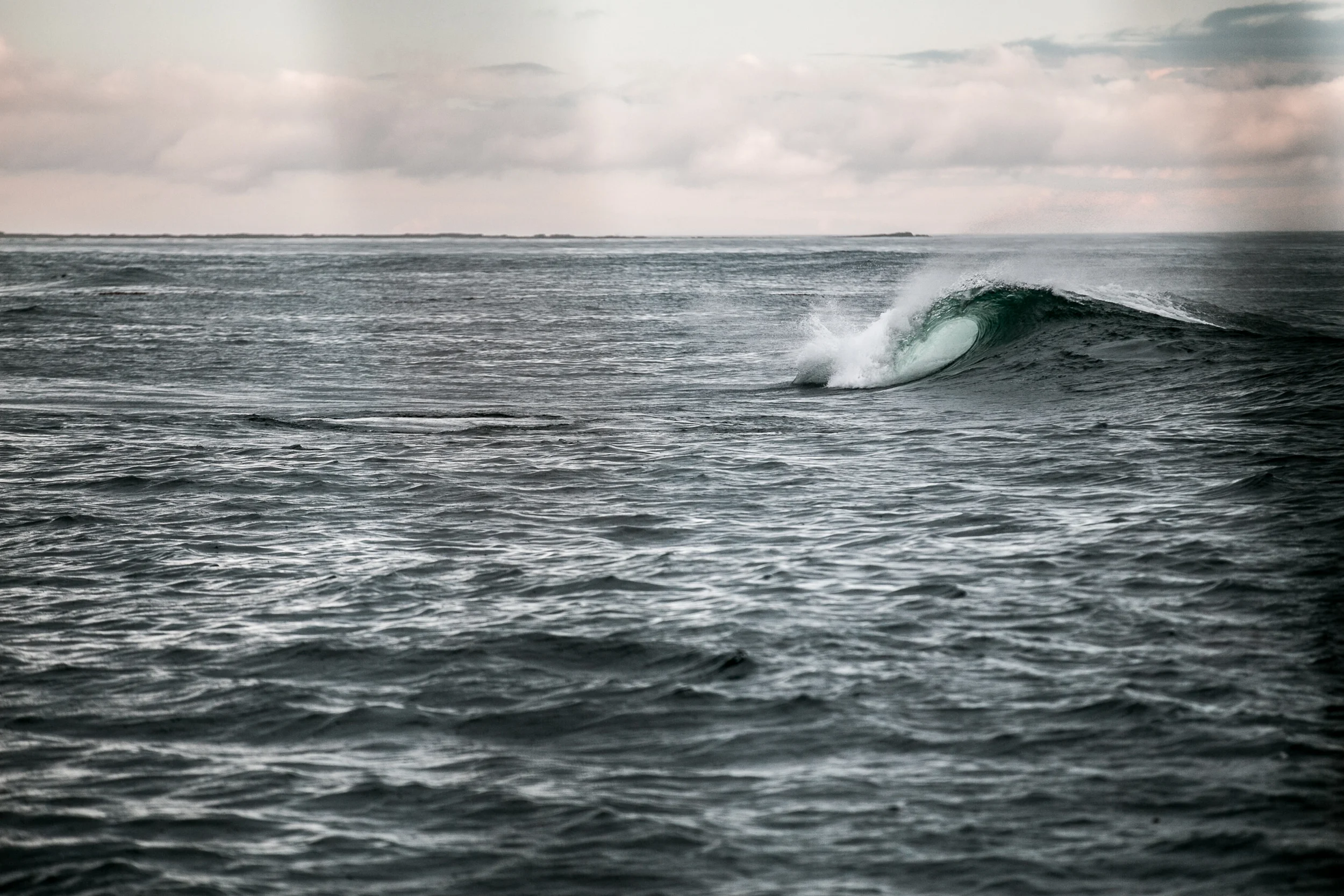 nootka52-1.jpg