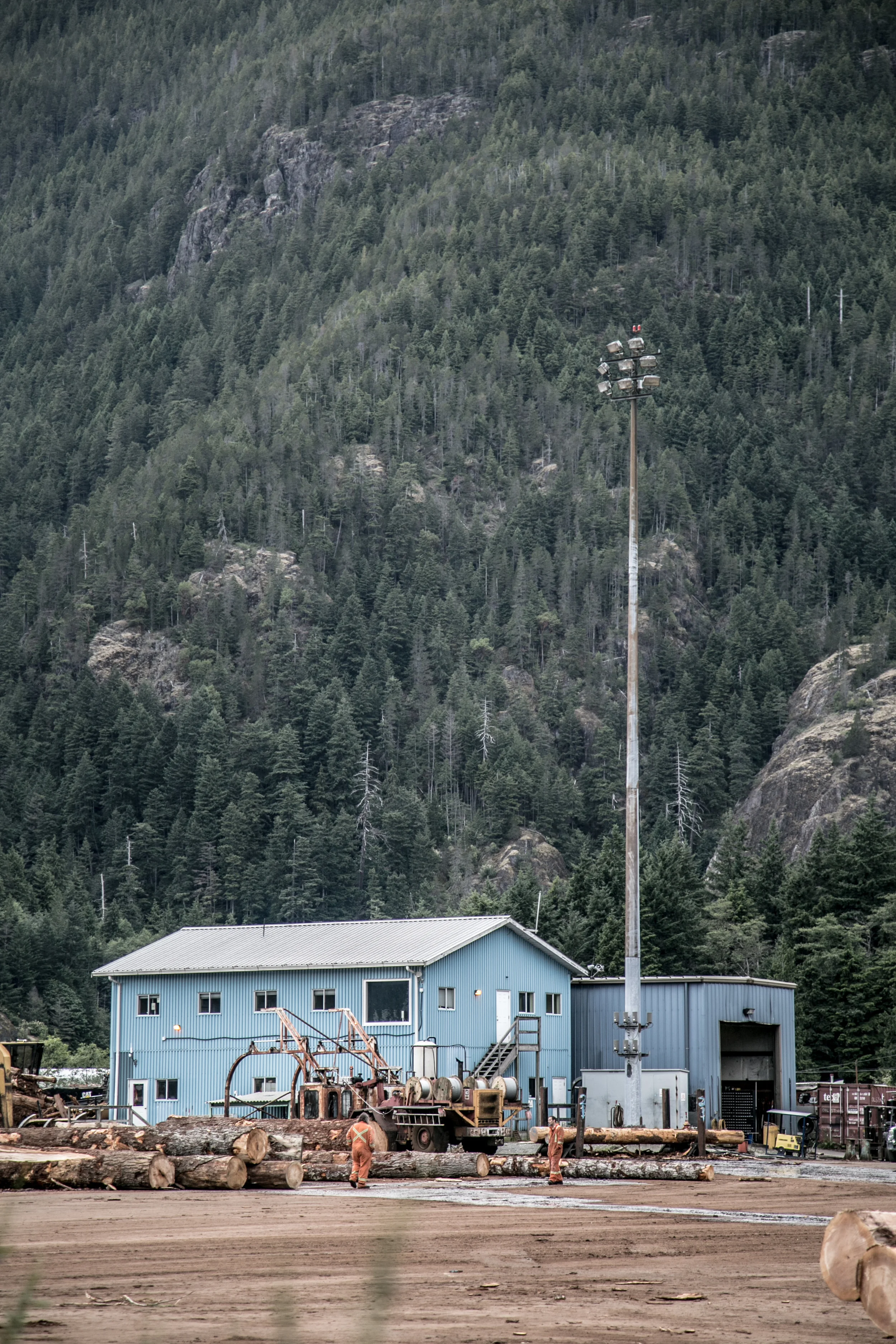 nootka3 (1 of 1).jpg