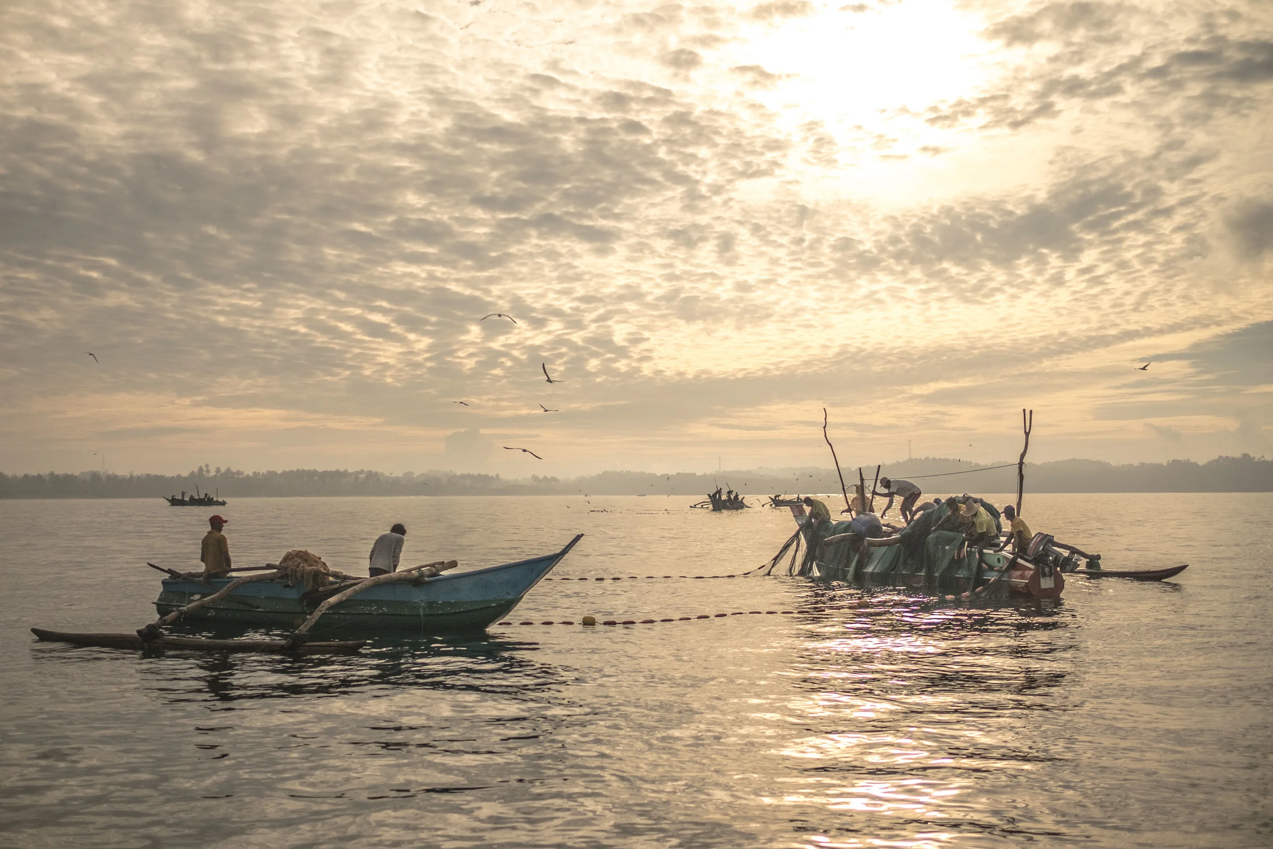 morning fish10 (1 of 1).jpg