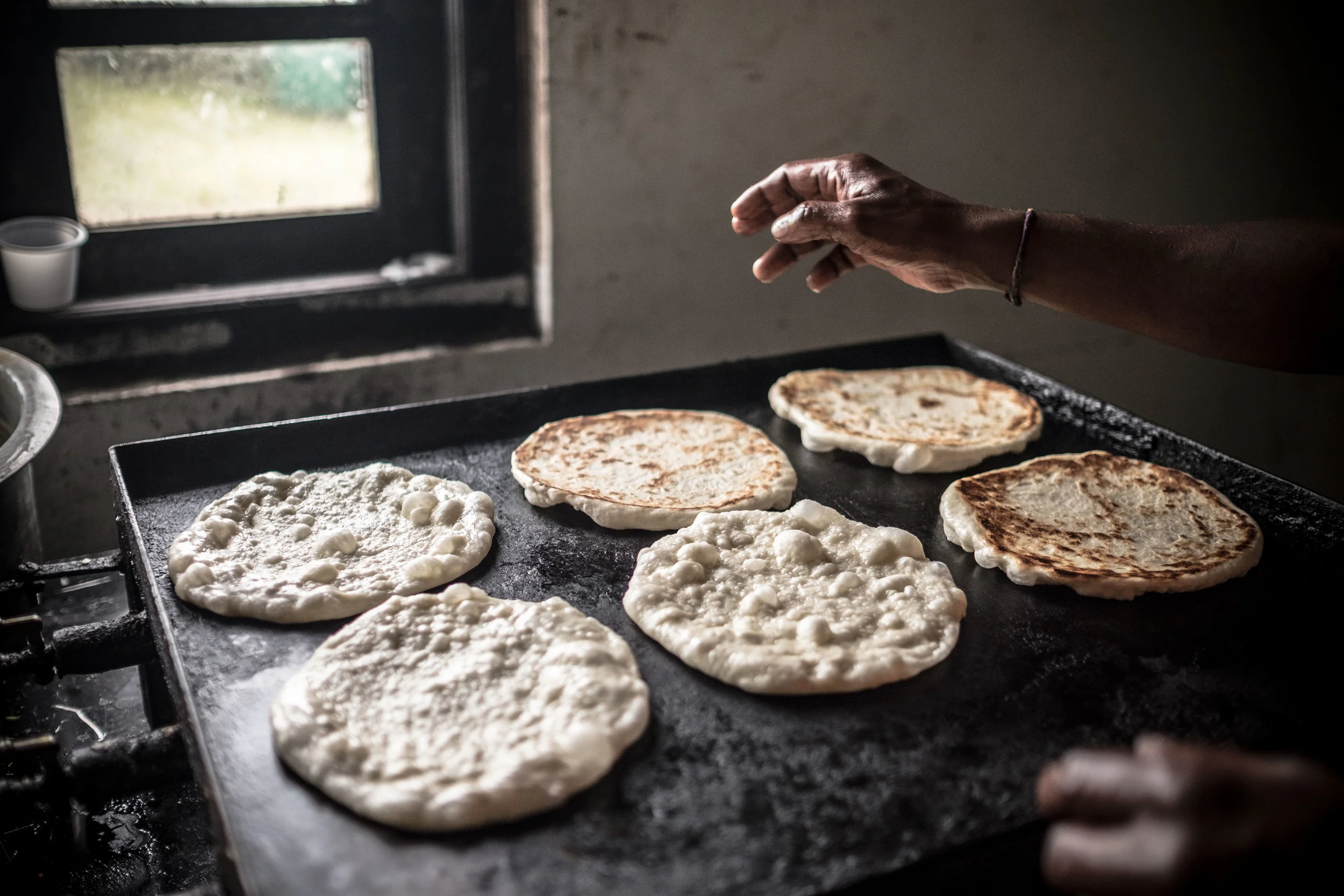 rotti (1 of 1).jpg