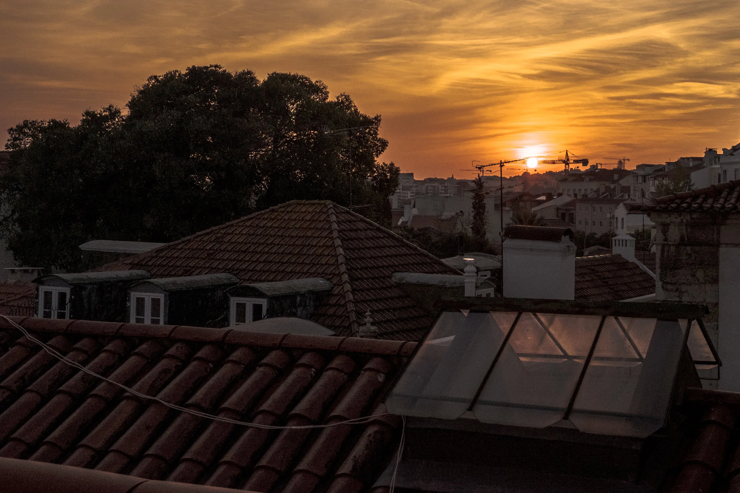 view from the kitchen (1 of 1).jpg
