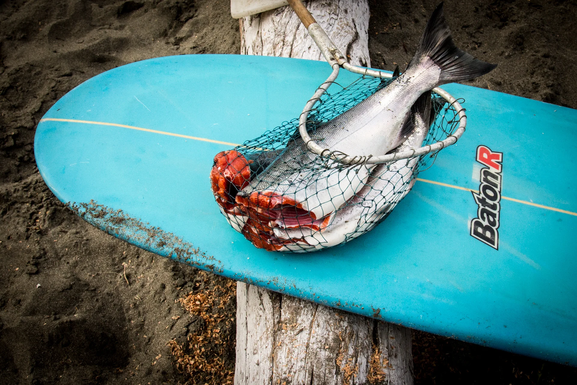 fish raft3.jpg