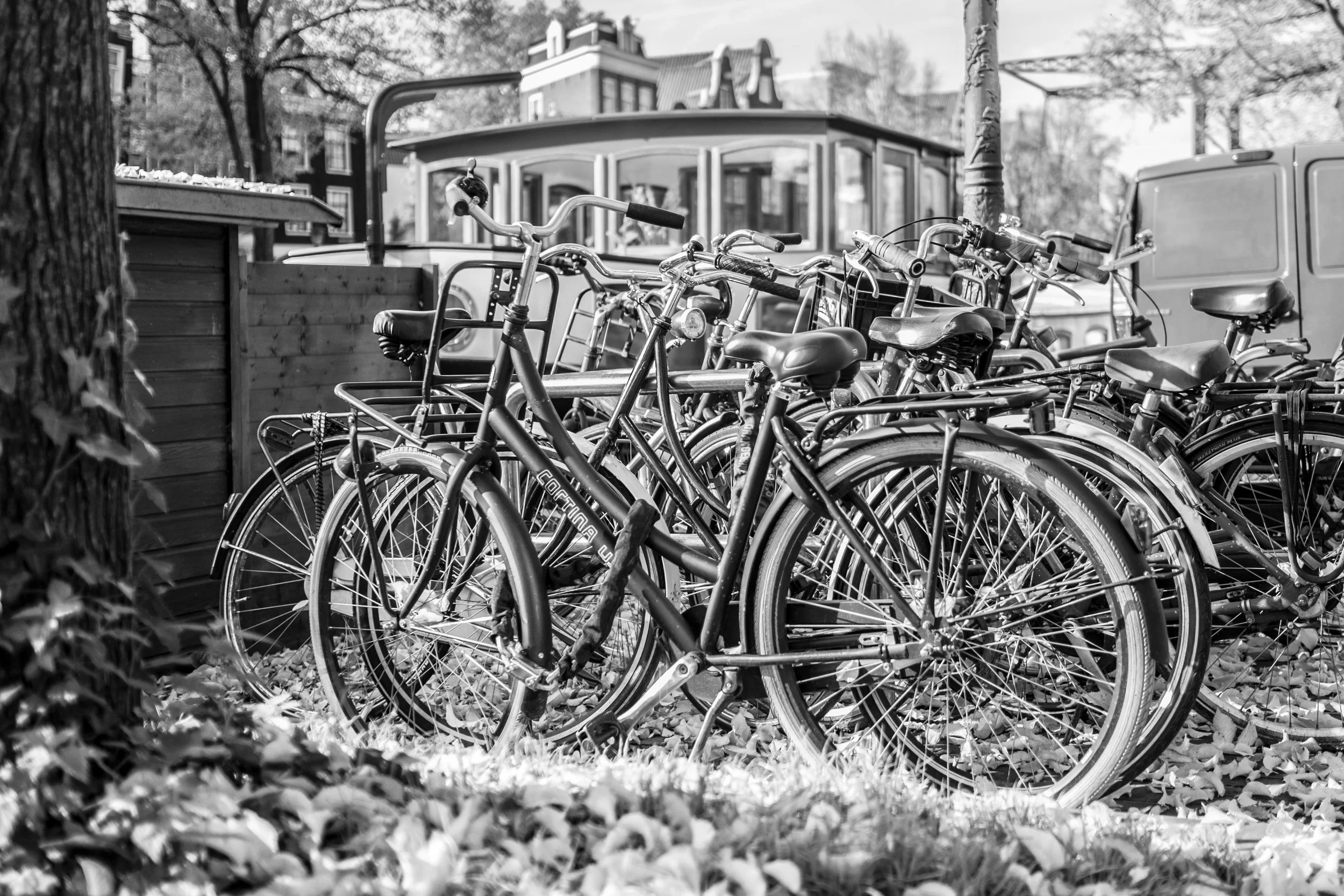 Black and White bicycles1 (1 of 1).jpg