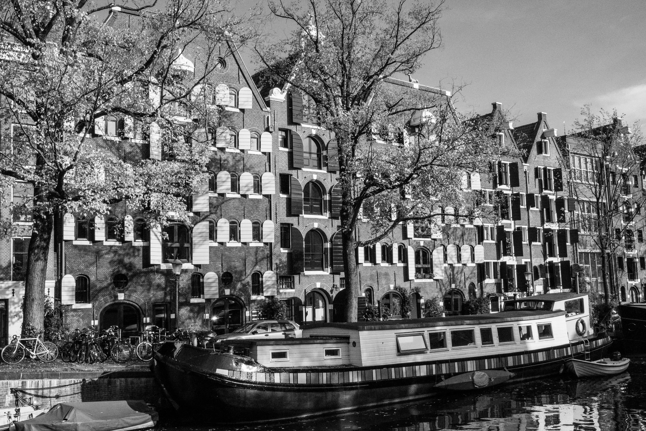 canaloni (1 of 1).jpg