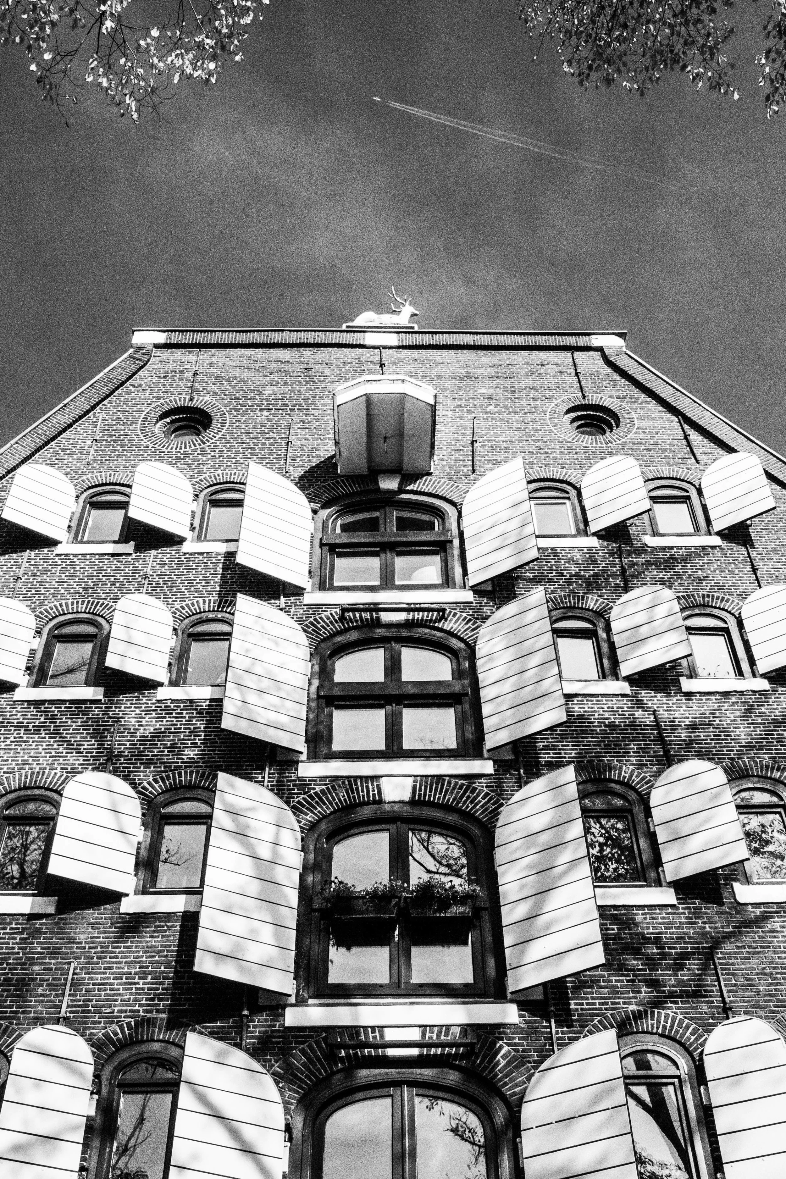 shutters B&W (1 of 1).jpg