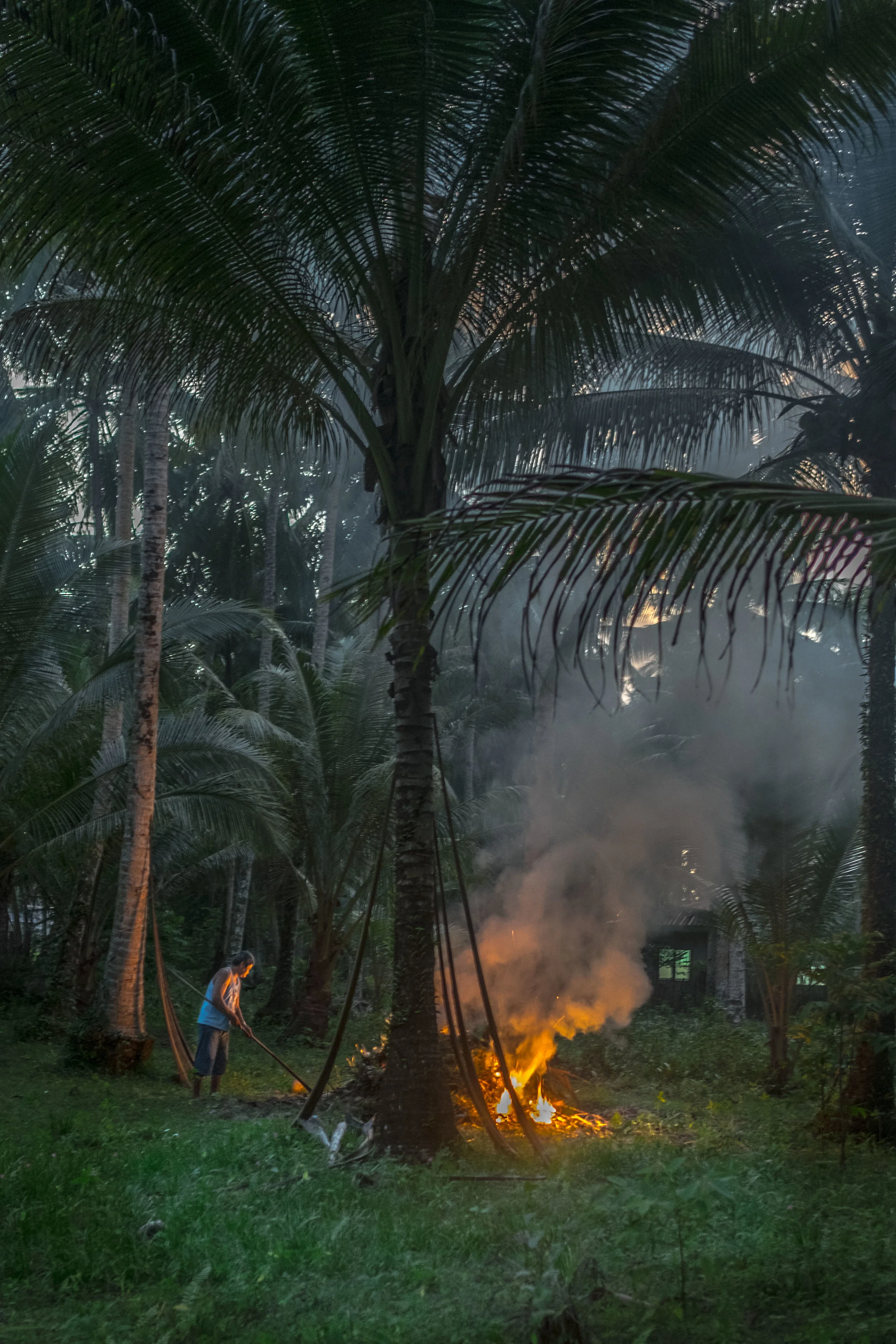 jungle fire3 (1 of 1).jpg