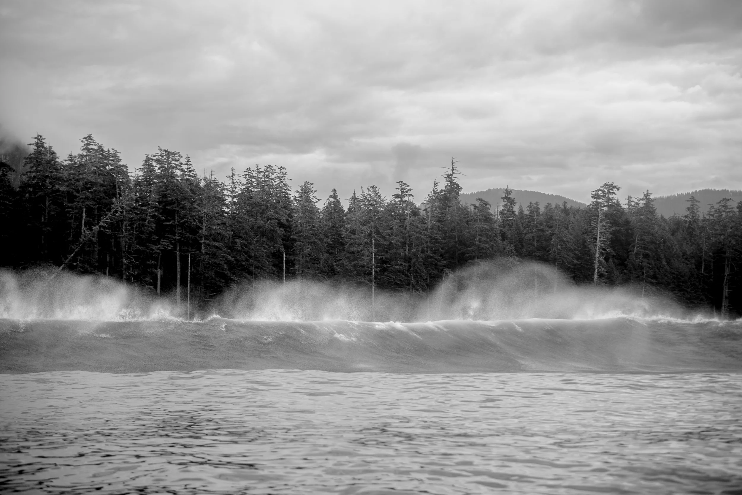 nootka57-1.jpg
