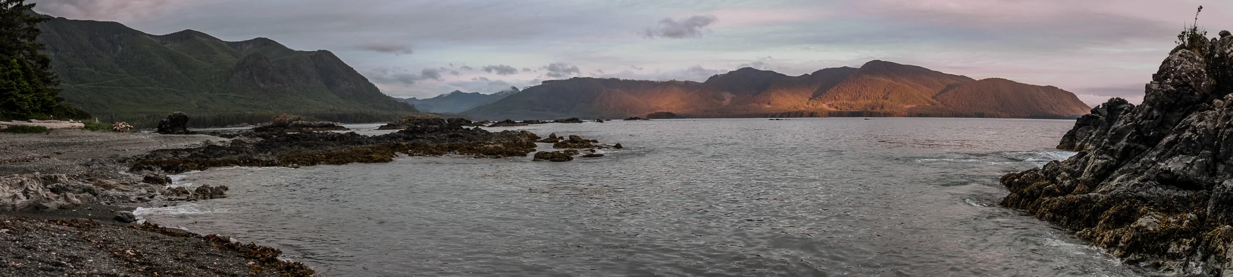 nootka105-1.jpg
