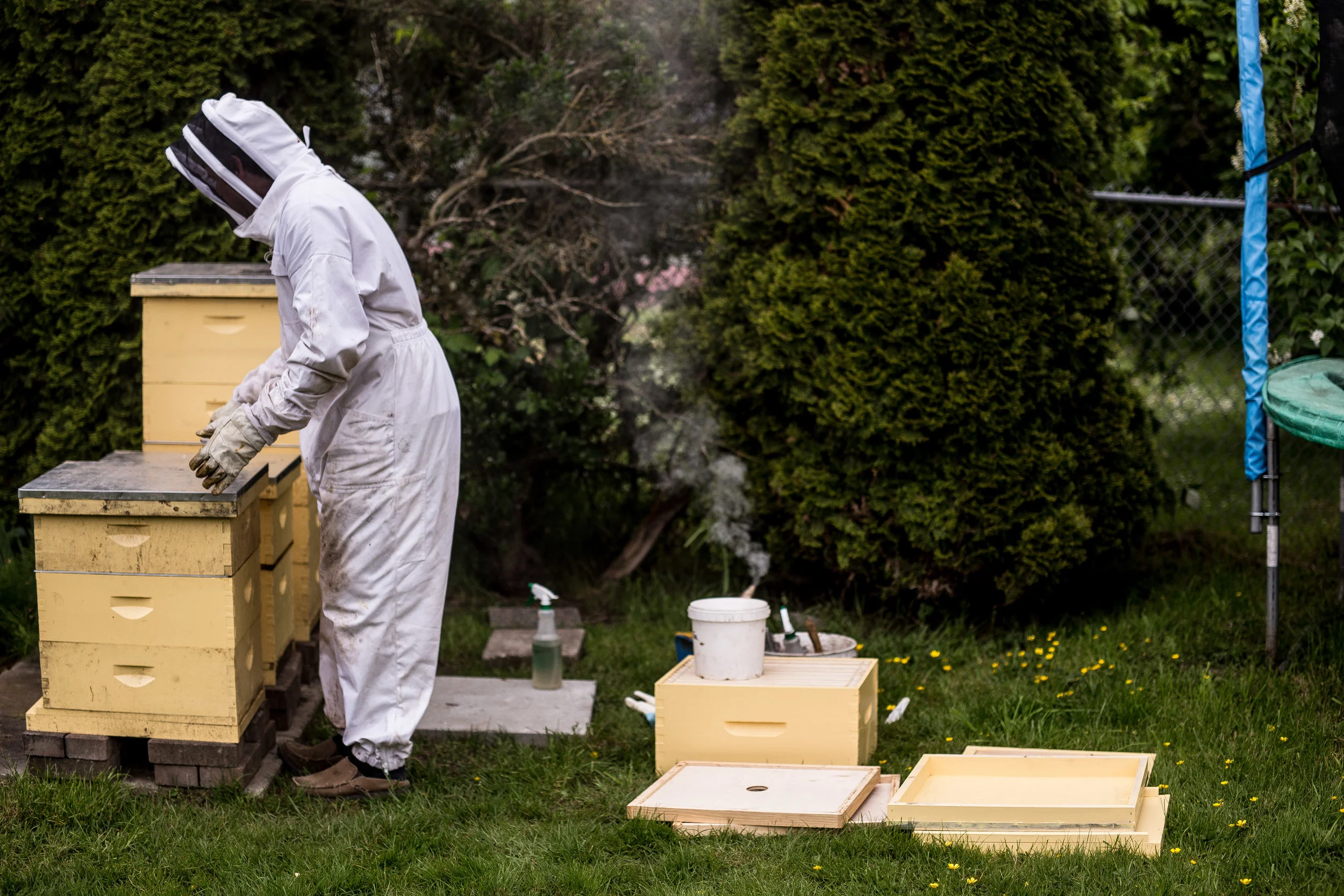 bee keeper 4-1.jpg