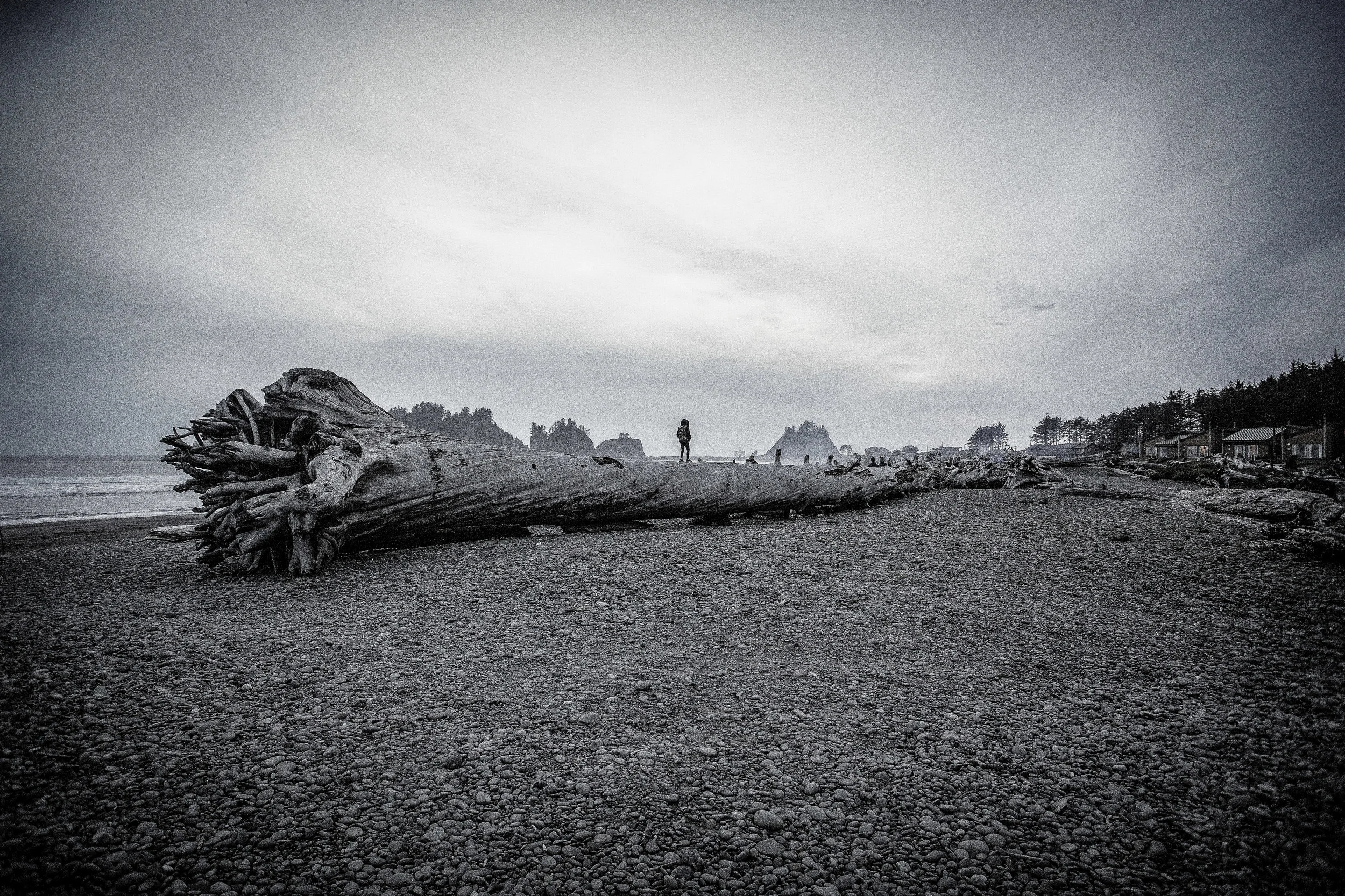 la push-1.jpg