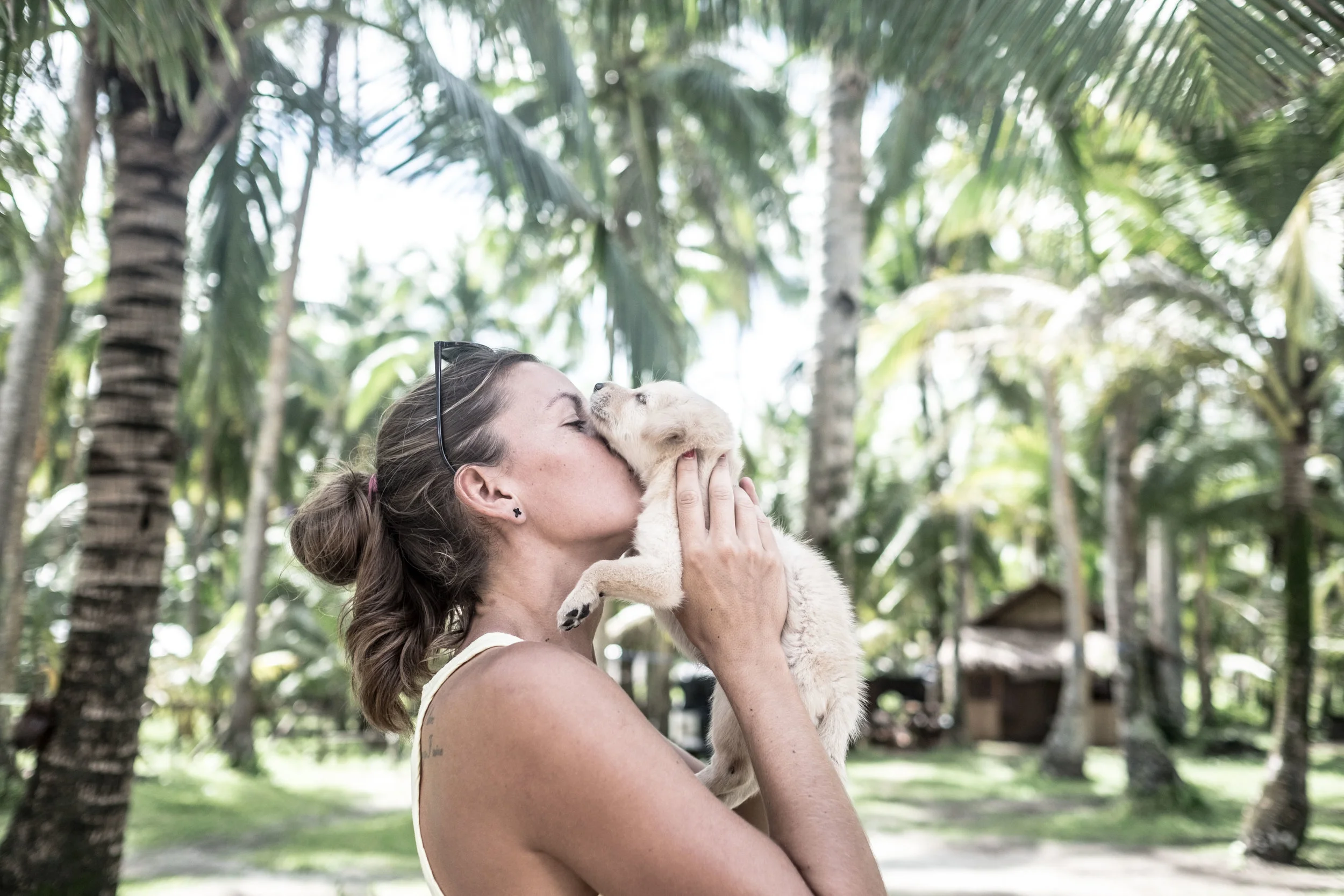 kat puppies1 (1 of 1).jpg