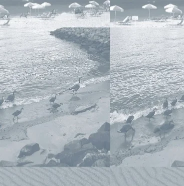 beaches.jpg