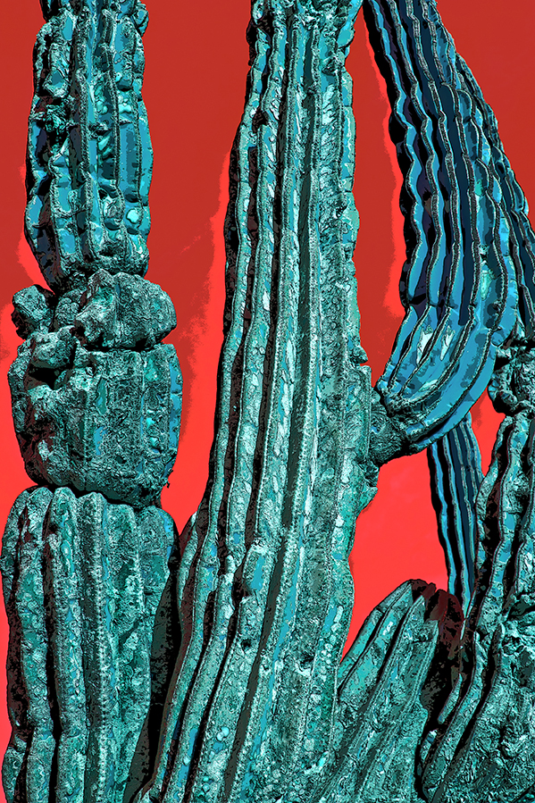 Baja Cactus Red and Green