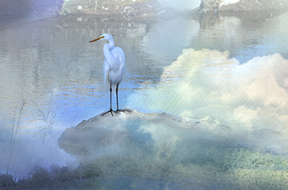Egret Lookout