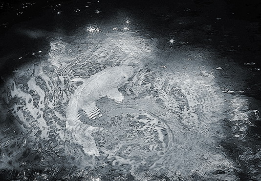 Cosmic Fish