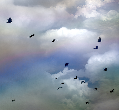 Grace In Flight