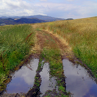 Santa Rosa Path