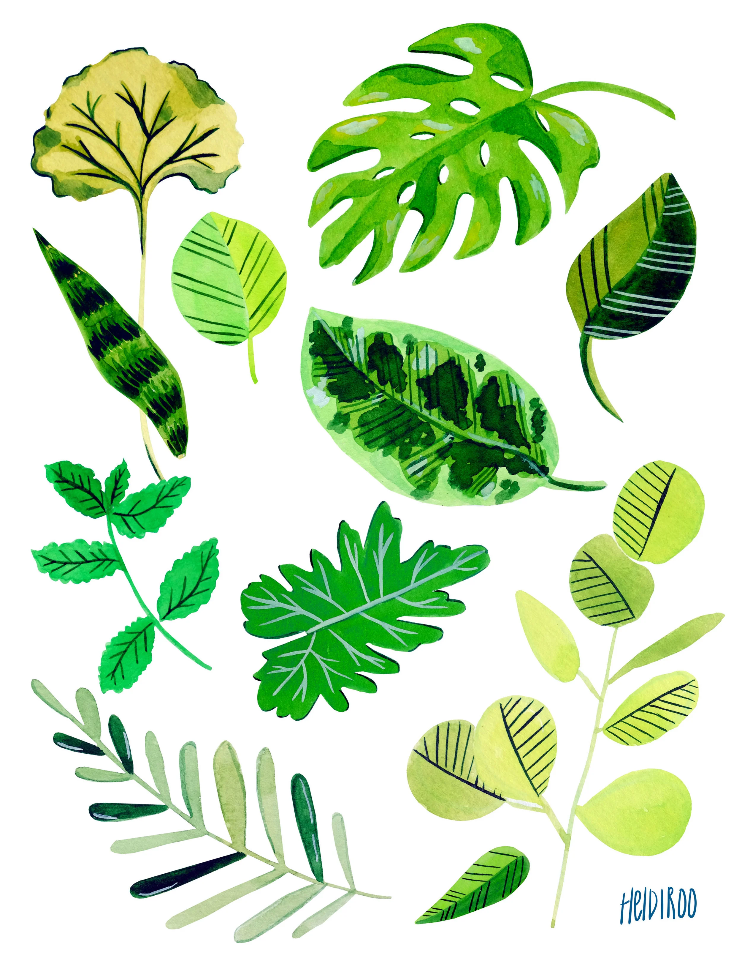 Plant Study
