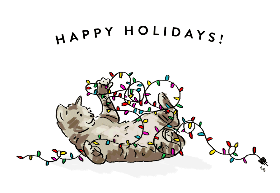 cat-illo.gif