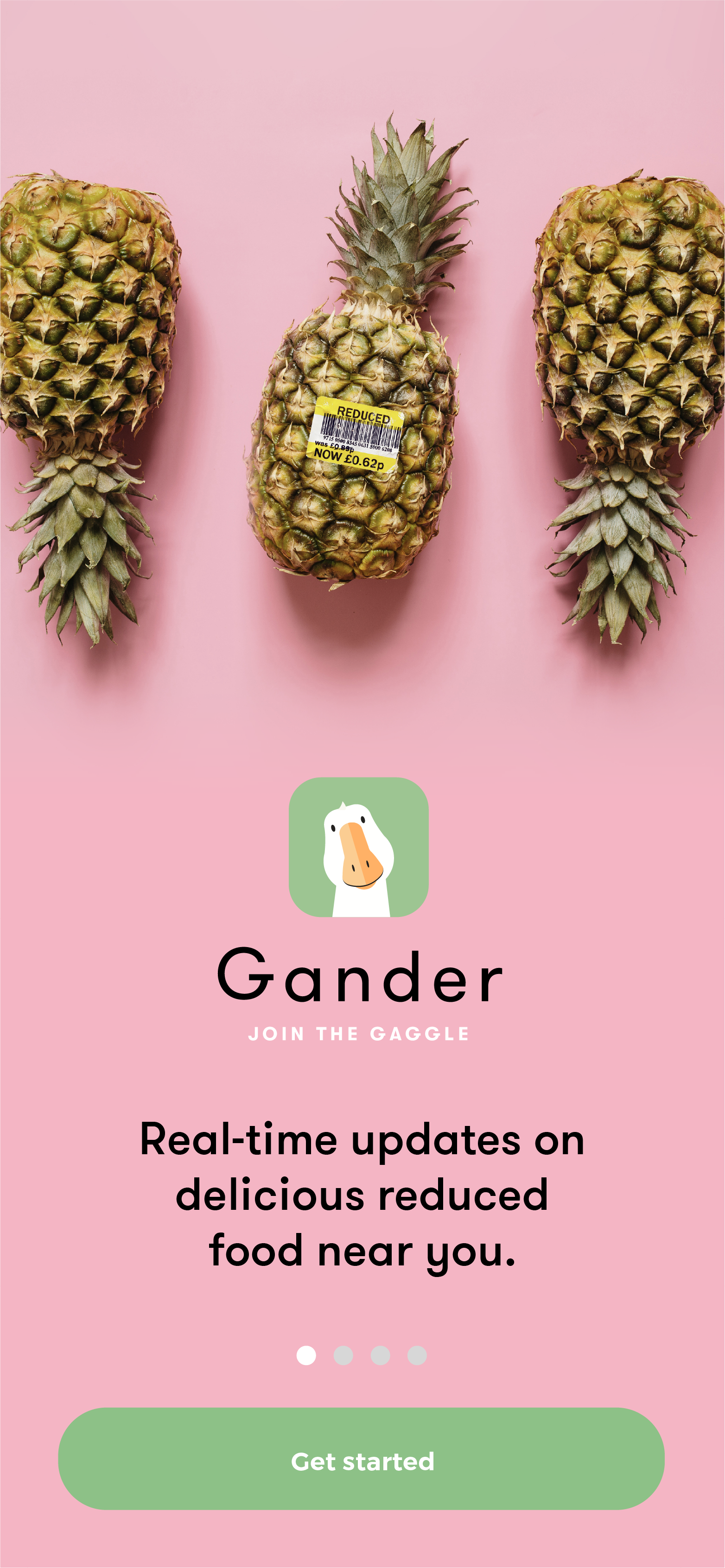 gander_app_r8_onboarding_carousel 1.png