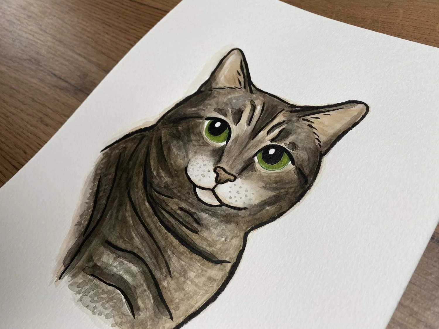 Pet Portraits