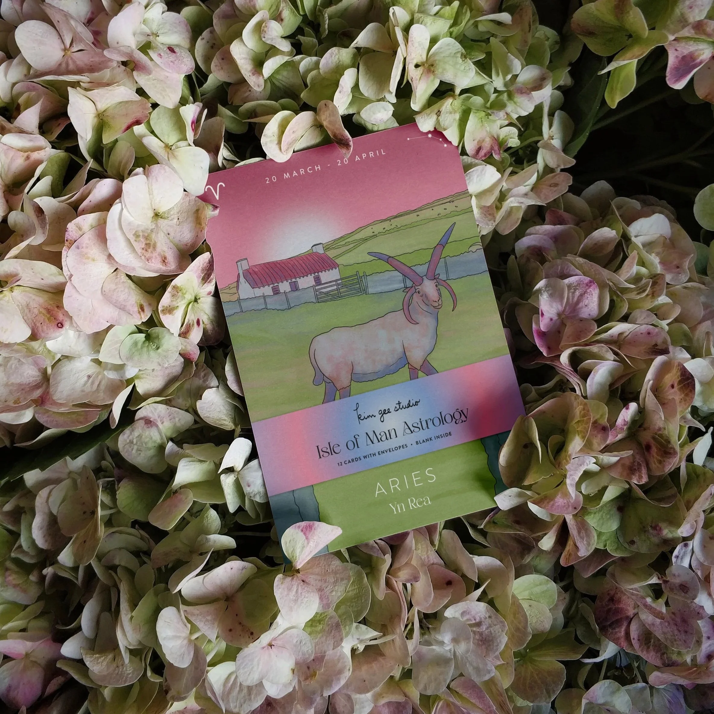 card+pack+flowers.jpg