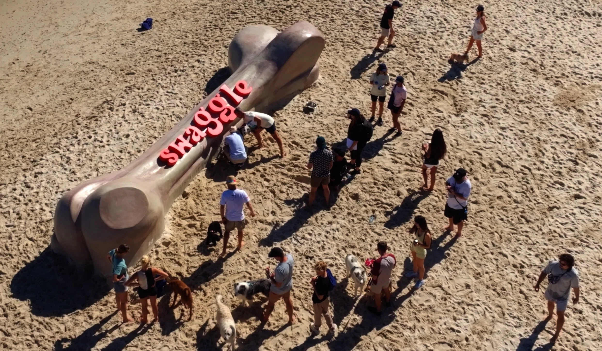 Swaggle Aerial - low res.jpg