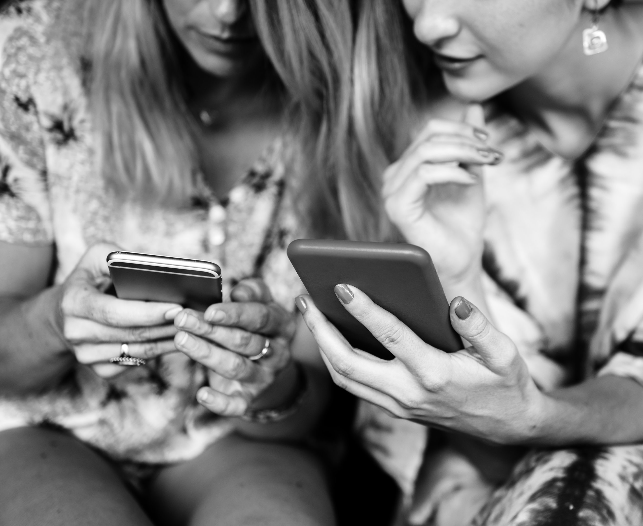 rawpixel-com-411158.jpg