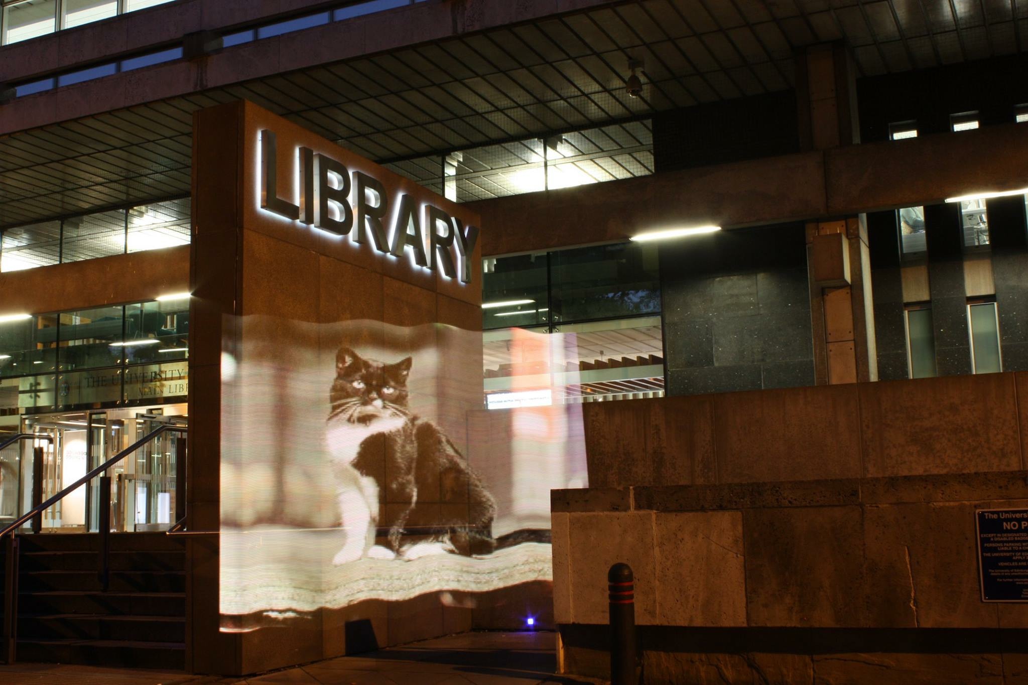 An image of University of Edinburgh's library cat (now lost and presumed dead though there is a successor kitten) which was taken as part of our Pixel Stick project using the Pixel Stick and long exposure.