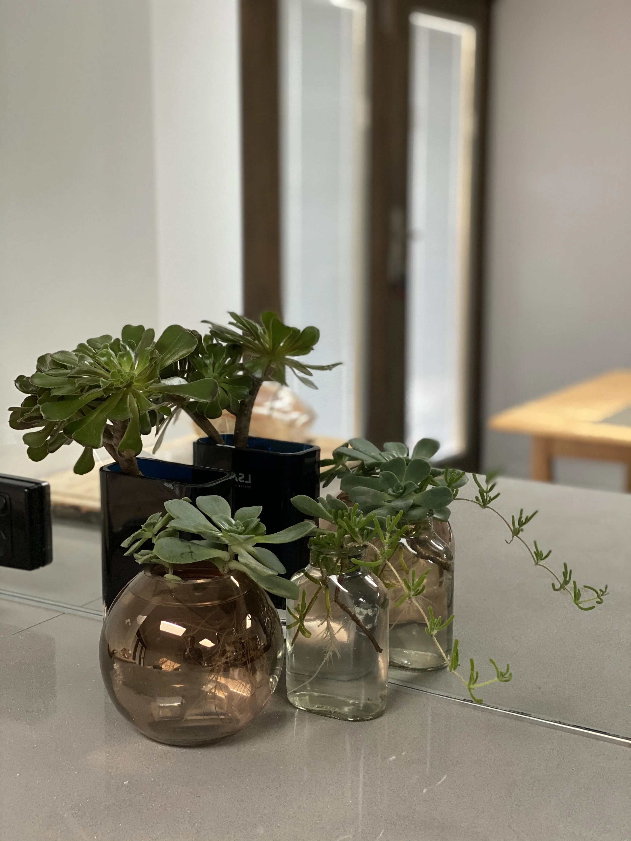 Reframing how my days look: Screen, green, me and down time