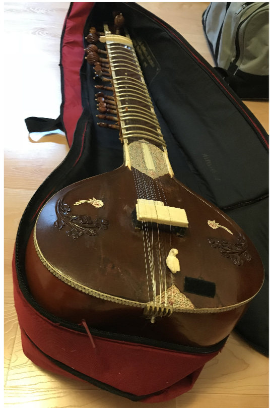 sitar_pic.PNG