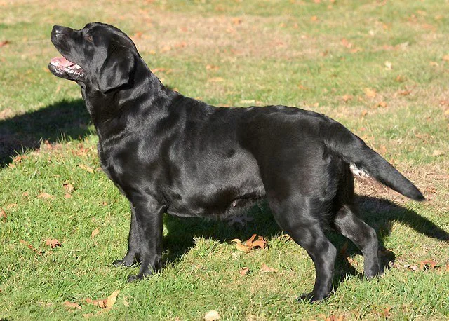  Lucy 2 yrs 