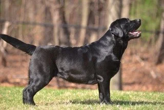 Lucy 16 mos 