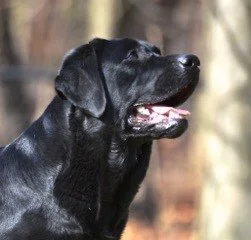  Lucy 16 mos 