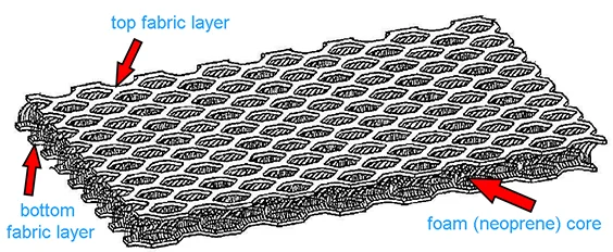 Neo_diagram.jpg