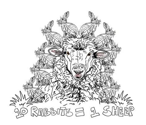Ten rabbits eat as much grass as one ewe