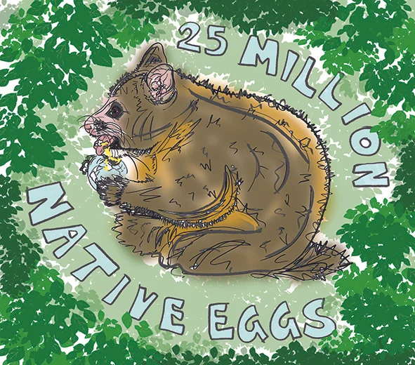 Possums eat 25 million native NZ bird eggs per year